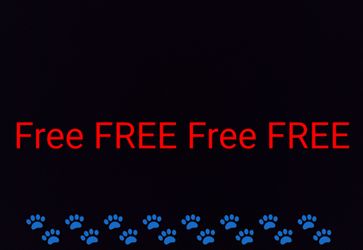 Moving Free Item's