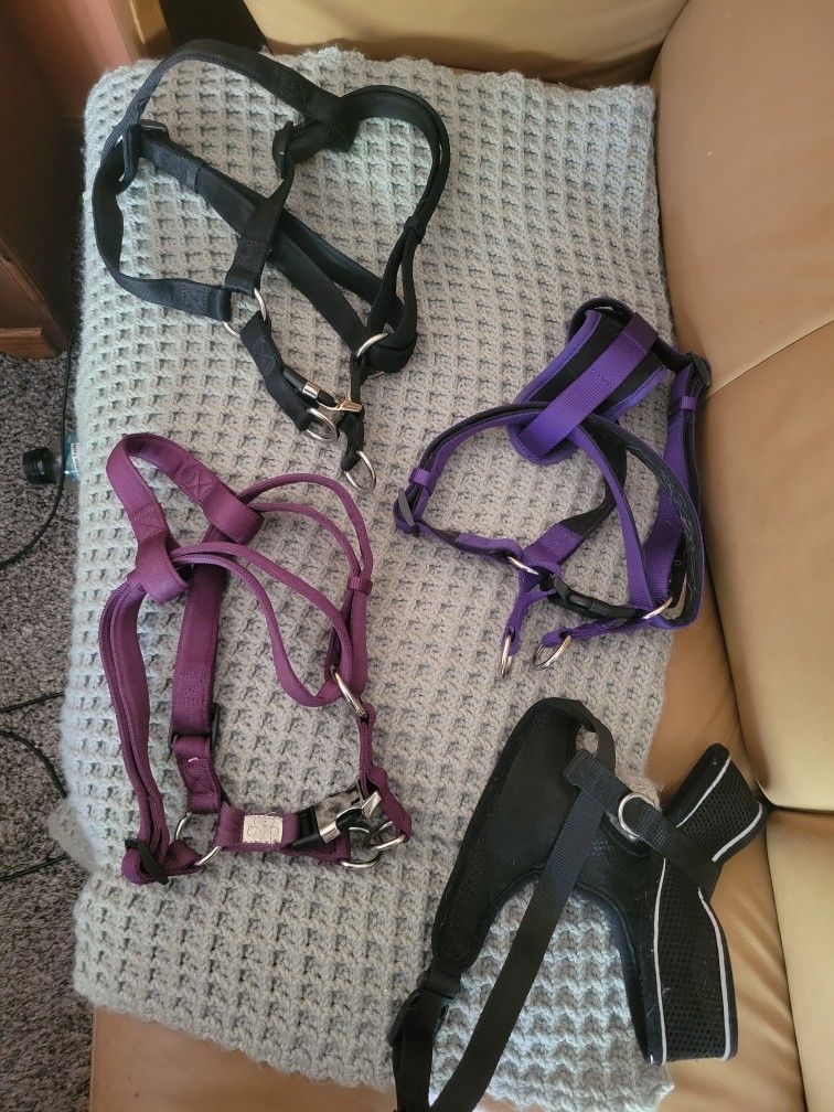 Dog Harnesses $10 Each