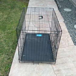 Dog Kennel 