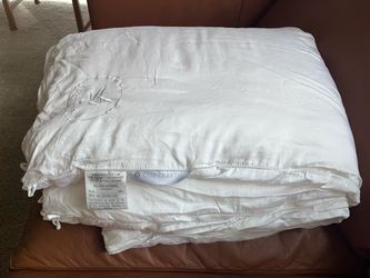 Cozy Earth Mulberry Silk Comforter, Twin, Extra Fill, $80 (Retail $527 w/ tax)