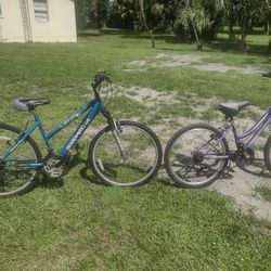 Mountain Bikes