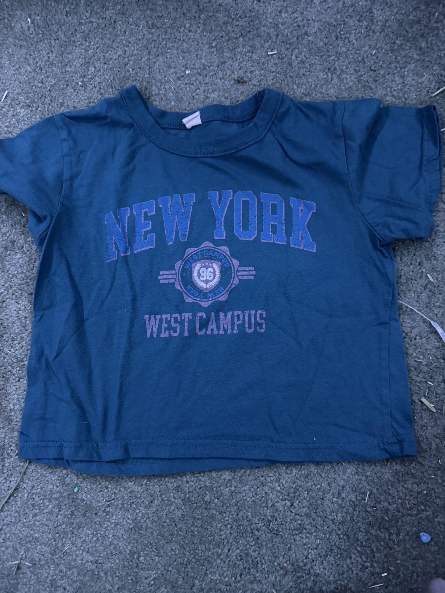 New York West Campus crop top