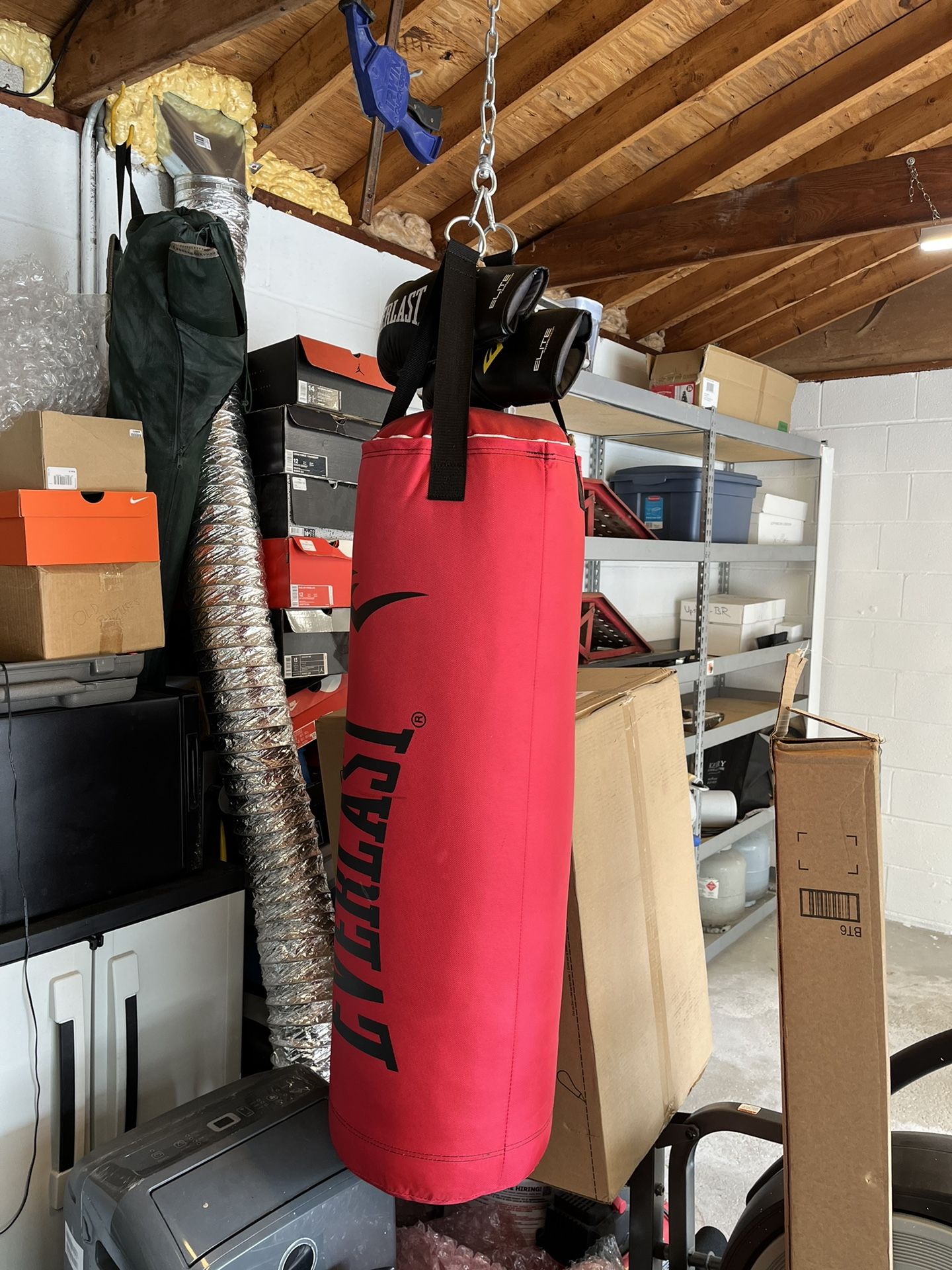 Everlast Punching Bag