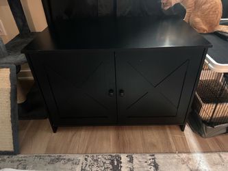 Black Two-Door cat litter box enclosure