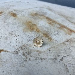 Anabel Aram Single Stud Earring – 18k Gold-Plated Flower – Replacement Piece