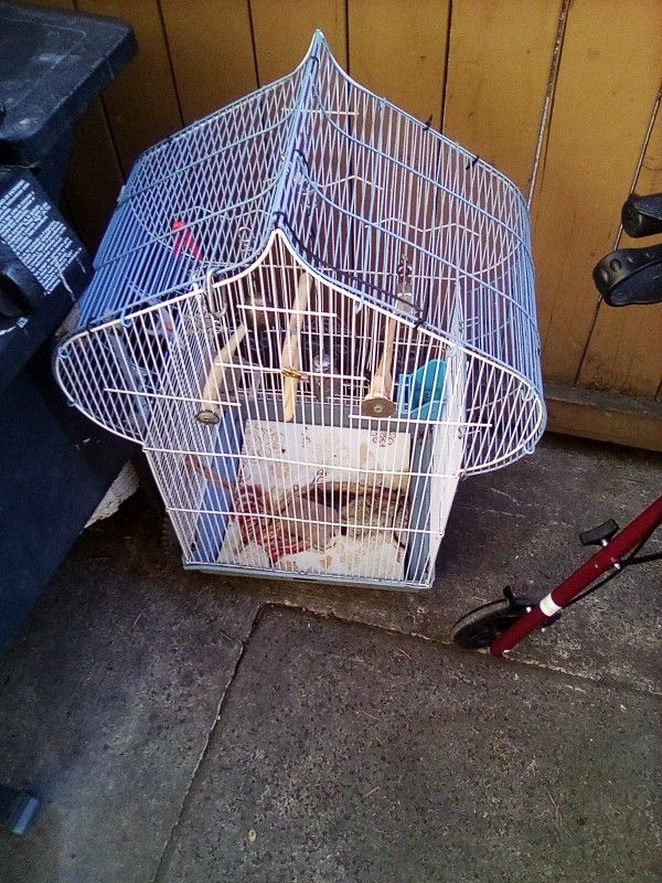 Bird Cage