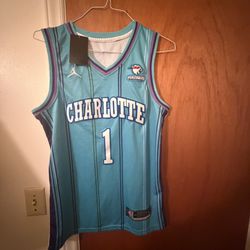 Charlotte hornets Jersey 