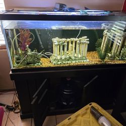 Acuario, Pecera, Glass  Fish Tank,  Aquarium  With Stand, Light,  Deco,filter Etc