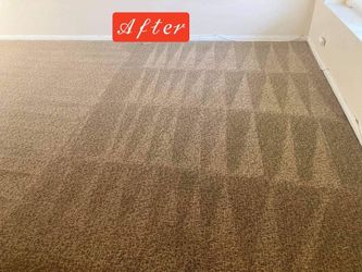 Carpet