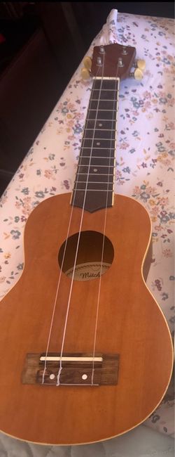 Ukulele needs 1 string