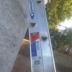 Ladder Good Conditions 