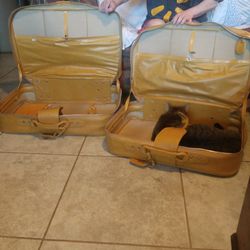 2 Pc Luggage Set. Cat Not Included