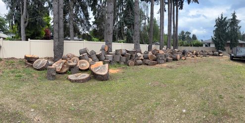 Wood