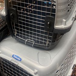 PET CARRIERS