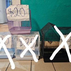 Bird Cages