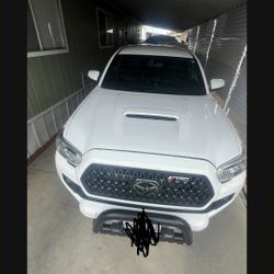 Bumper Guard W Fog Lights $290 Obo