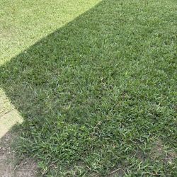 Corto Yardas / Mow Lawns