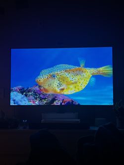LG OLED 55”