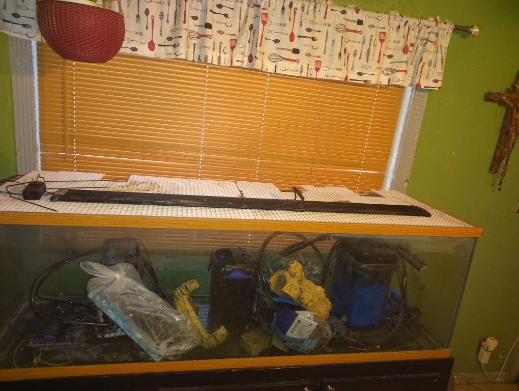 Fish Tank
