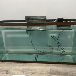 65gallon Tank 