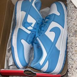 Nike Dunk Mens Shoes Size 11, Brand New