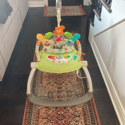 Baby Bouncer