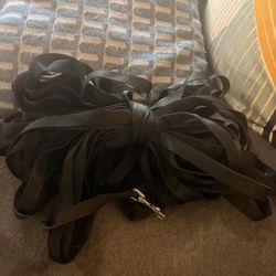 50 Ft Nylon Dog Leash