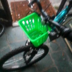 Bicycle Basket