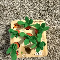 Montessori Style Carrot Sorting Baby Toy