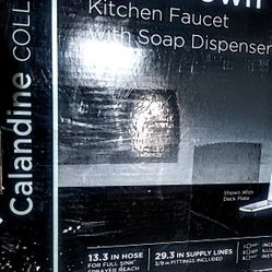 Calandine, Glacier Bay Pull Down Chrome Focett With Soap Dispenser 