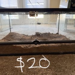 Tank enclosure terrarium 