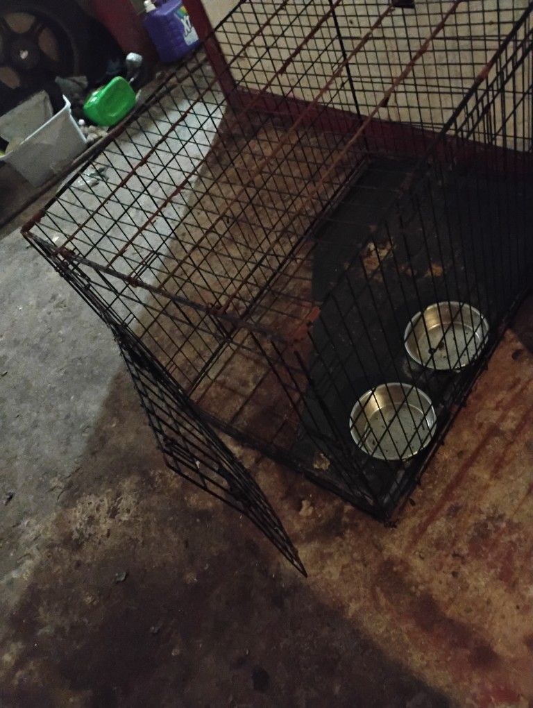 Large Dove Cage