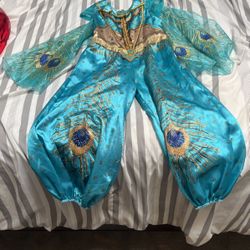 Size Small(4-6) Jasmin Costume 