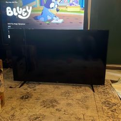 55in Roku Tv