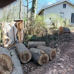 FREE Fire Wood 🪵 🪓🔥