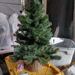 Tree With Lights For 20.00