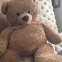 Teddy Bear For Valentines 