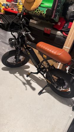 Electric  bike