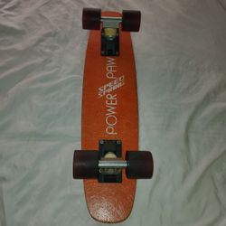 RARE 70'S Clean Original 24" Complete Nadalin Power paw Speed Spring Skateboard 
