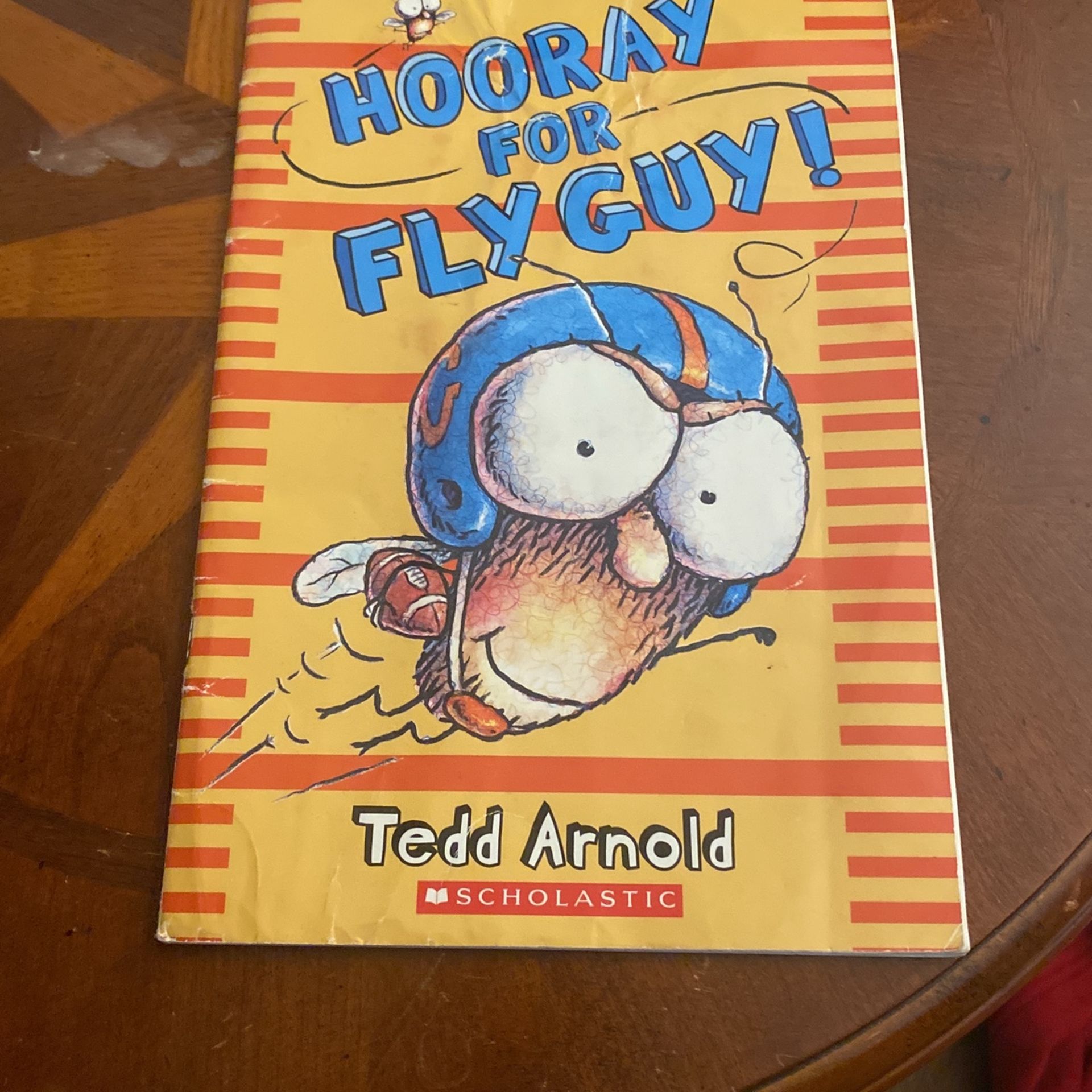 Hooray for fly guy book