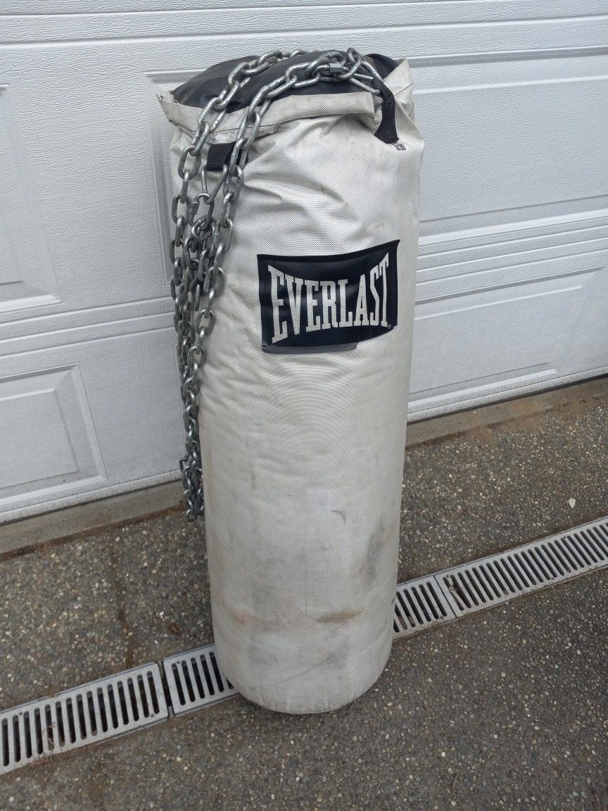 80 lbs Punching Bag and Gloves