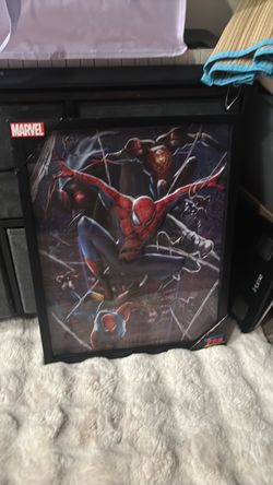 Framed Spider-Man