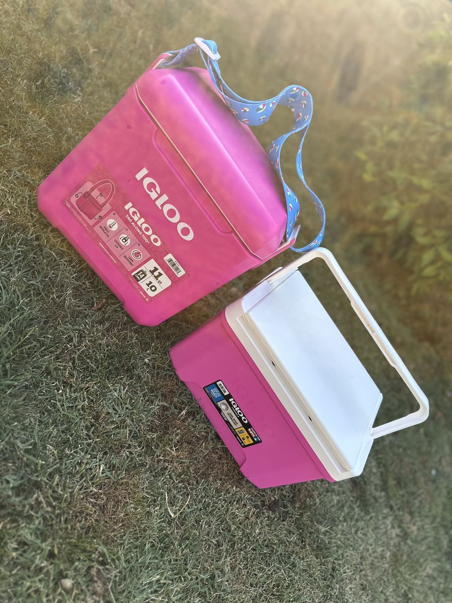 Pink igloo cooler