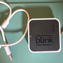Blink Add-On Sync Module 2 w/64gb blink usb