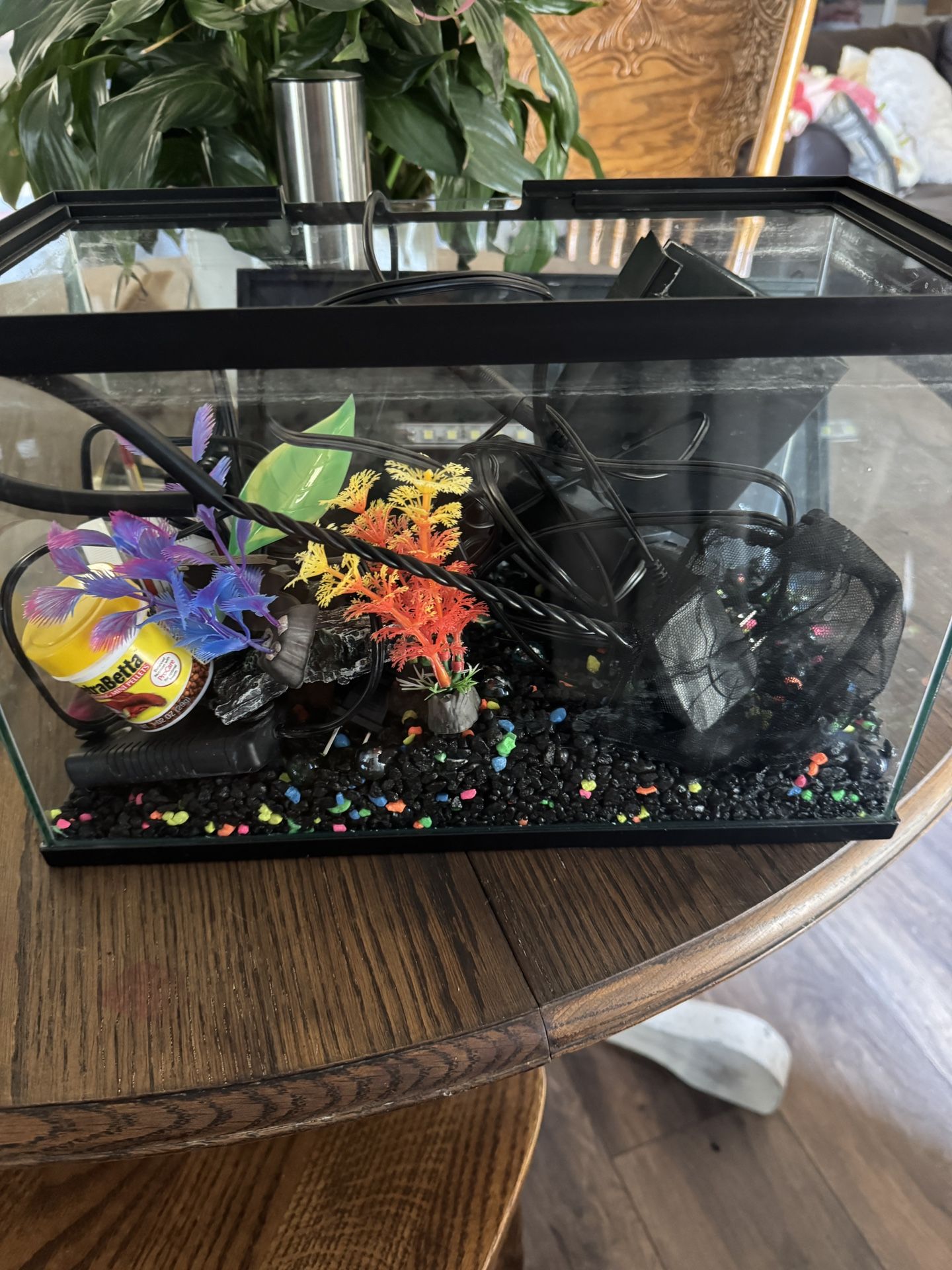 3 Gallon Fish Tank