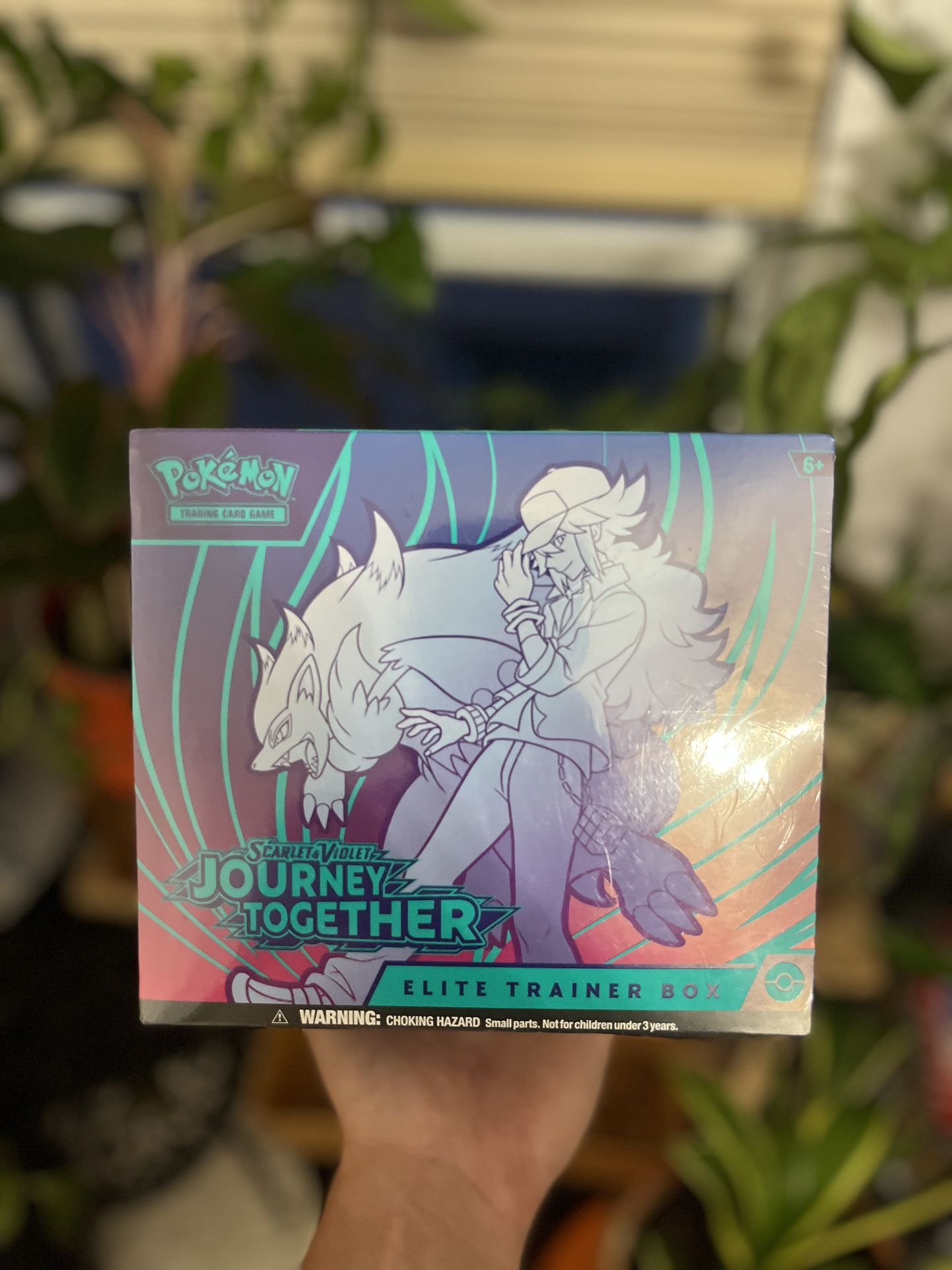Pokemon Journey Together Elite Trainer Box * Sealed *