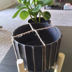 Cute Planter With Stand