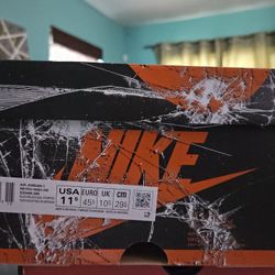 Jordan Retro 1 Shattered Backboard