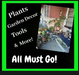 MUST SELL ASAP!

Plants, Pottery, Plant Stands, Small Tables & Much More...