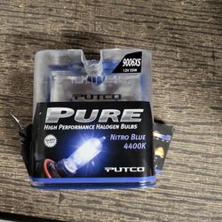 Put o 9006XS Blubs Nitro Blue. 